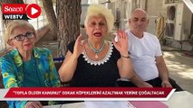 “Topla öldür kanunu!” sokak köpeklerini azaltmak yerine çoğaltacak
