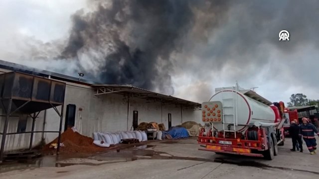 Sakarya'da fındık kırım fabrikasında çıkan yangına müdahale ediliyor