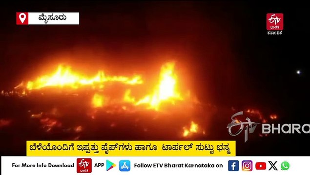 ಮೈಸೂರು: ಕಟಾವು ಮಾಡಿ ರಾಶಿ ಹಾಕಿದ್ದ ಬೆಳೆಗೆ ಬೆಂಕಿ ಹಚ್ಚಿದ ಕಿಡಿಗೇಡಿಗಳು