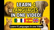 🔹 Learn Animal Names in 4 Languages! (Arabic - French - English - Spanish)