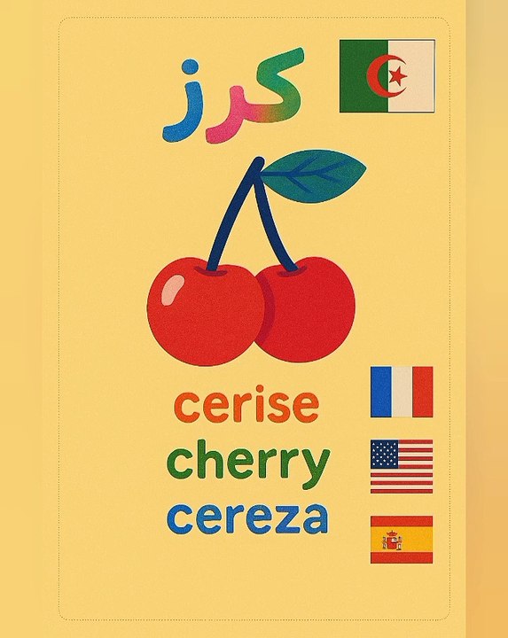 Learn 4 Languages in one Video