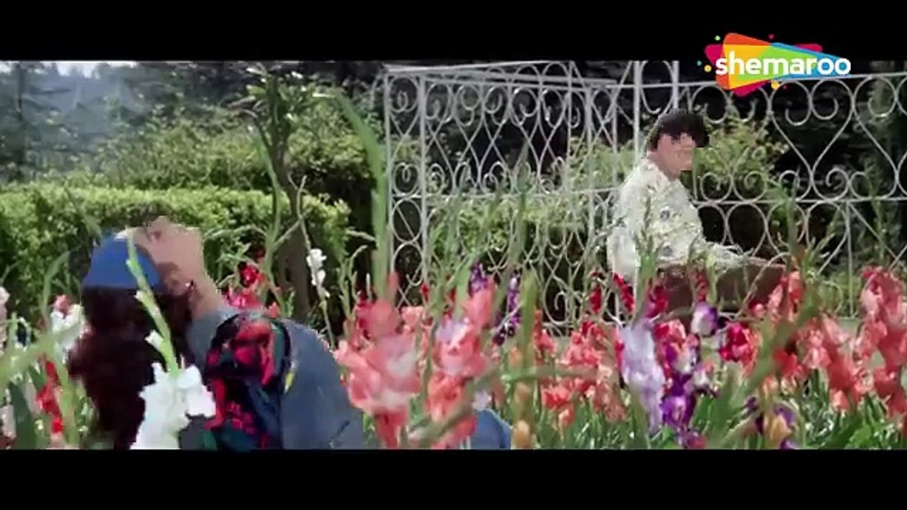 Phool Kali Chand / Krantiveer (1994) / Mamta Kulkarni ,	Udit Narayan, Sadhana Sargam