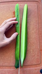 Fine food √Food √ Food √ FOOD