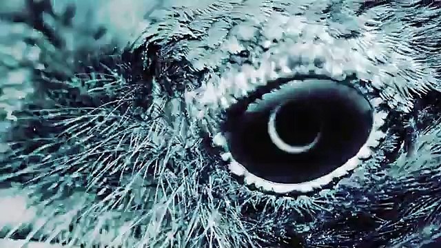 💖CULTE💖💥MYLENE FARMER NEVERMORE 💥ABONNES-TOI STP🙏💖 MERCI 🙏💖💥