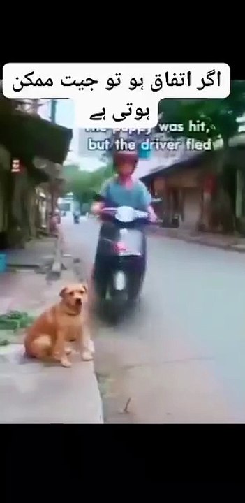 Facebook_1746961129960(360p)