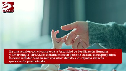 Los bebés de laboratorio podrían ser una realidad 'dentro de dos años'