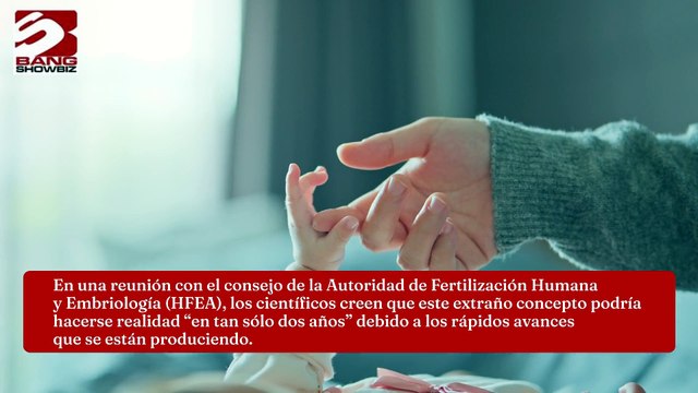 Los bebés de laboratorio podrían ser una realidad 'dentro de dos años'