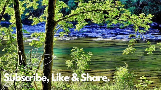 Relaxing Piano Music: Romantic Music, Beautiful Relaxing Music, Sleep Music, Stress Relief