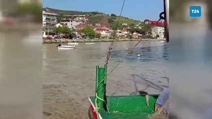 Marmara’nın turistik körfezi müsilajla kaplandı