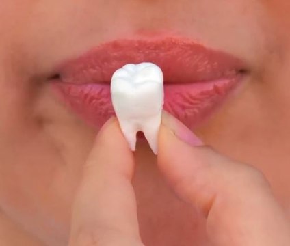 Toothy Twists! Crafts with a Bite!