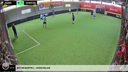 But de Martin L - Hugo Palais