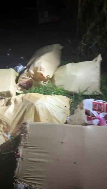 Ocupan contrabando de más de 224 mil cigarrillos abandonados en unos matorrales en Dajabón y Elías Piña