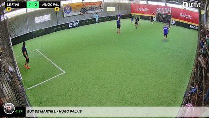 But de Martin L - Hugo Palais