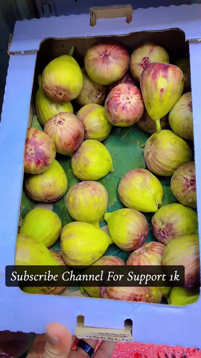Delicious Fruits For Good Health