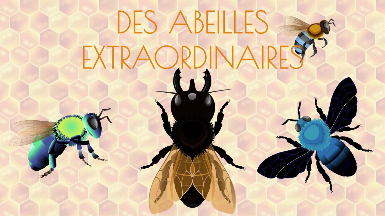 Des abeilles extraordinaires 🐝