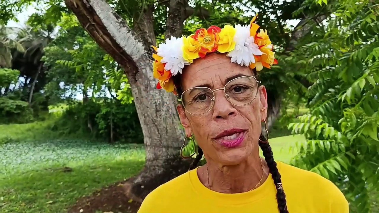 [GUADELOUPE] “Fibromyalgie Guadeloupe et handicap invisible” : Une journée pour sensibiliser et soulager