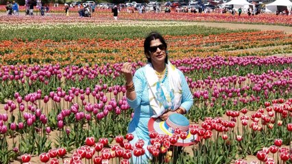 Bagon Mein Kaise Ye Phool by Chitralekha Dixit