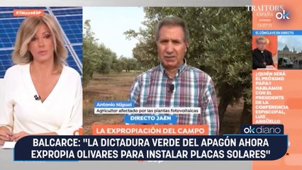 CONEXIONES | Balcarce: "La dictadura verde del apagón ahora expropia olivares para instalar placas solares"