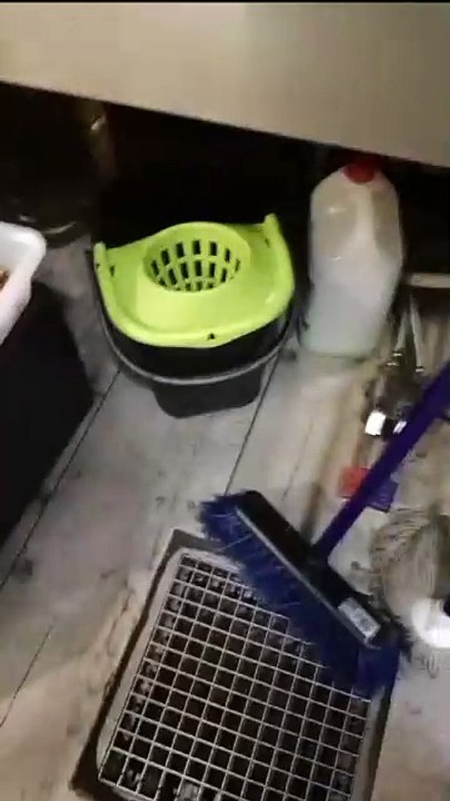 Comida almacenada junto a los productos de limpieza