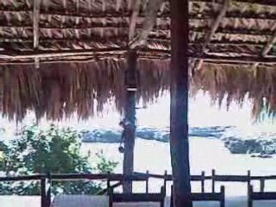 Video Bocca de Yuma