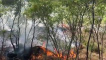 Se incendia zona del río Santa Catarina a la altura de Félix U Gómez en Monterrey