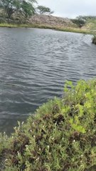 rapaz aqui e bom demais