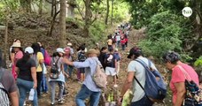 Cientos de personas participaron de una caminata ecológica en el cerro Guacamaya