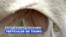 Aventuras Gastronômicas: Testículos de Touro