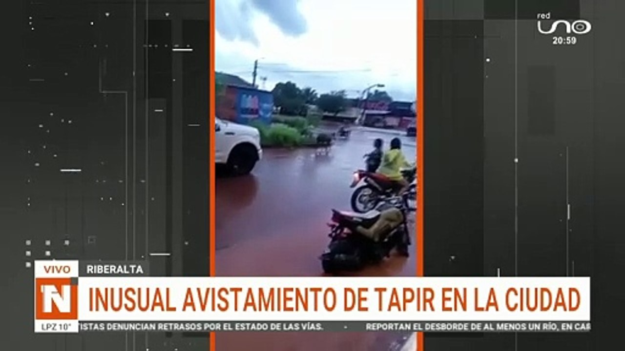 TAPIR EN RIBERALTA