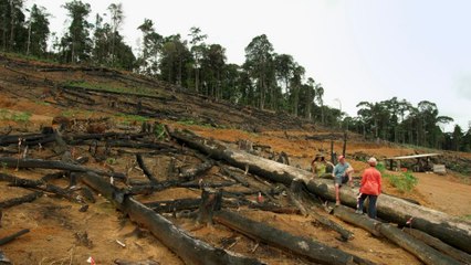La fabrique des pandémies