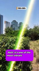 What’s Hiding in Mexico City Will Blow Your Mind!