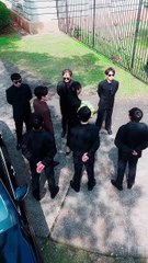 新剧《寻野》上线（上）🌿