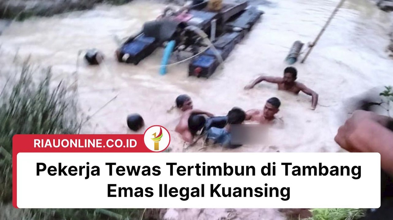 Pekerja Tewas Tertimbun di Tambang Emas Ilegal Kuansing