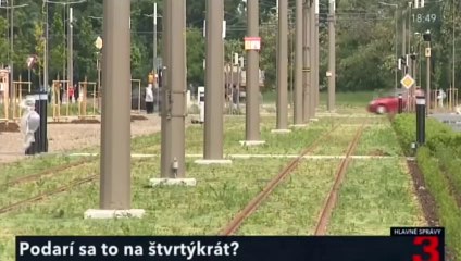 20peelina11-1848 (spr)