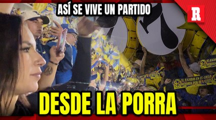 El FUTBOL desde la PORRA AZULCREMA, así SIENTEN los COLORES MILES de AFICIONADOS