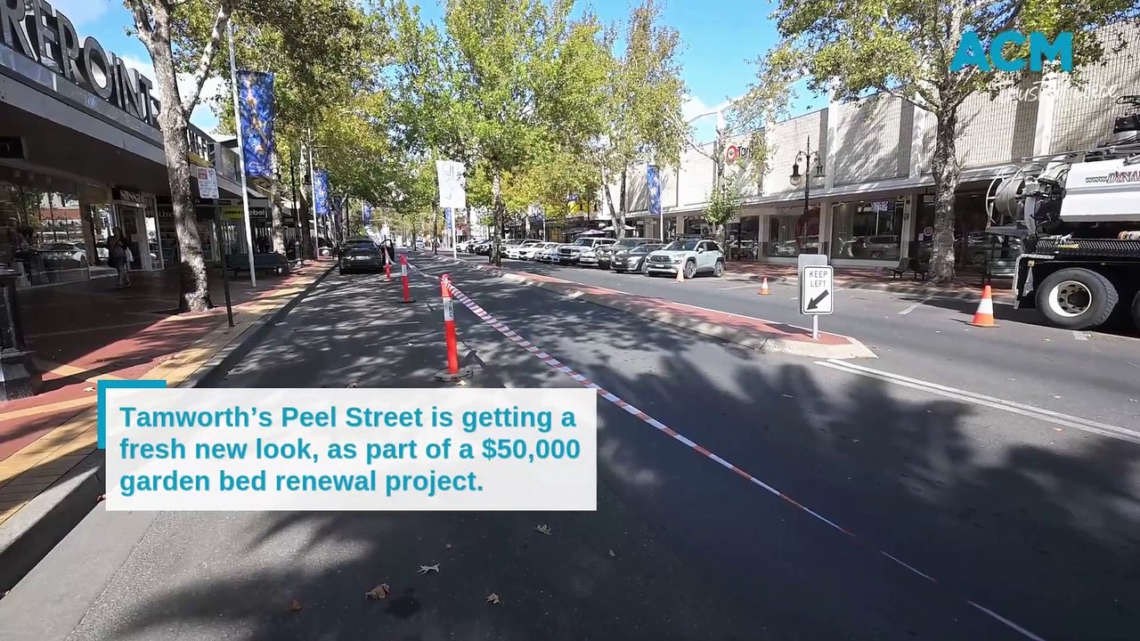 Peel Street hedge replacement works start