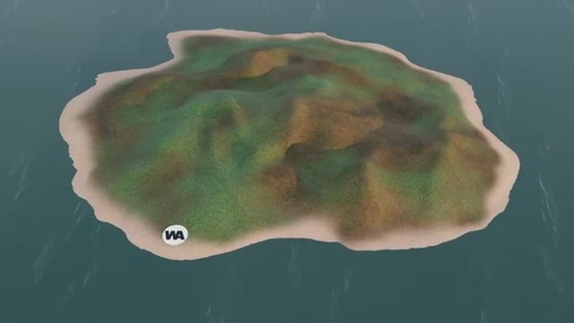 Dejan a miles de ovejas en una isla sin pasto y el resultado es totalmente inesperado