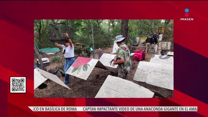 Rescatan a 166 aves en situación de maltrato en la Álvaro Obregón