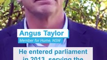 Who is vying to be the next federal Liberal leader