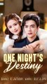 one night's destiny chinese drama