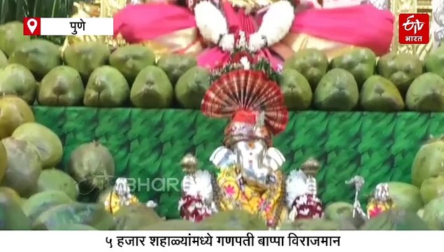 ५ हजार शहाळ्यांमध्ये ‘दगडूशेठ’ गणपती बाप्पा विराजमान; पहा व्हिडिओ