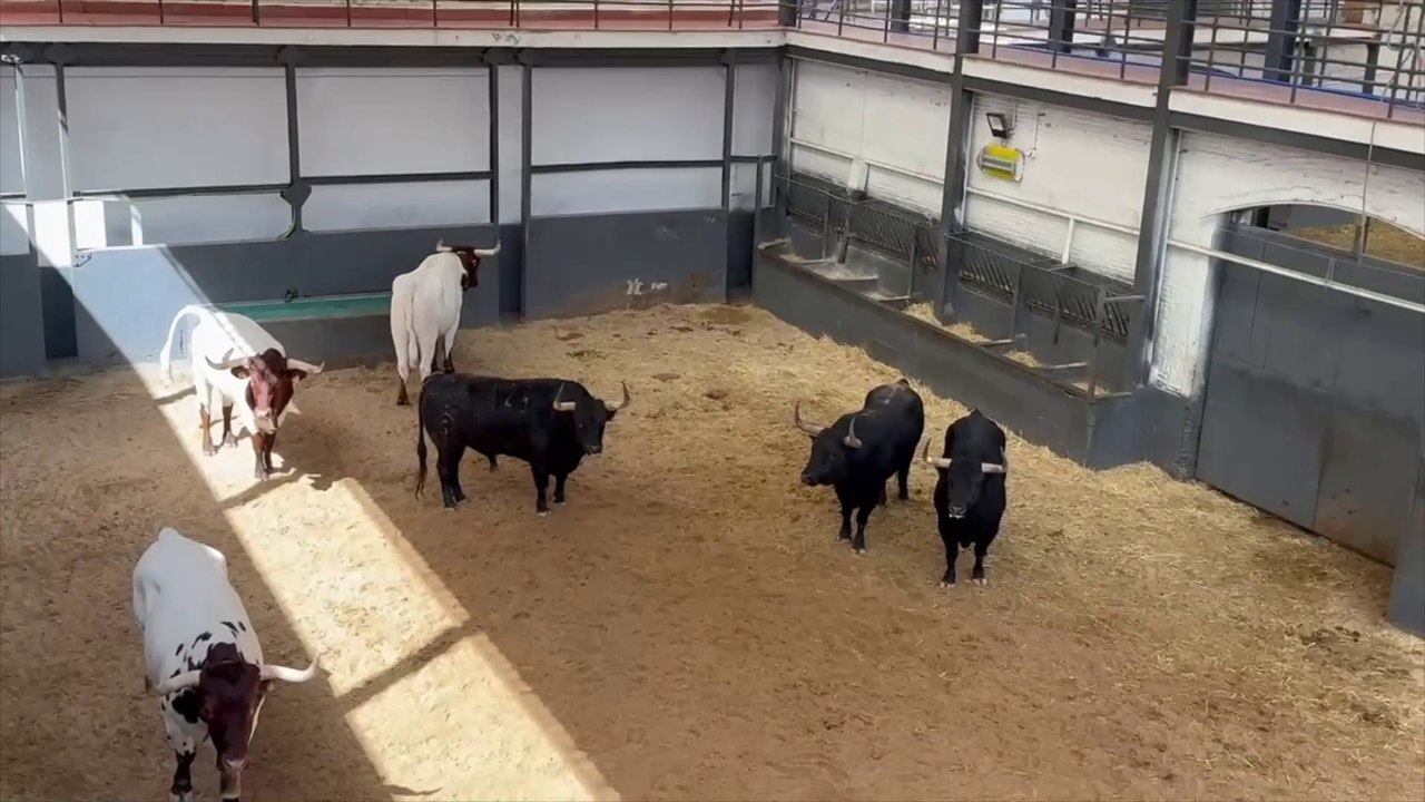Feria San Isidro: Resumen corrida Miguel Ángel Perera, Ginés Marín y. Paco Ureña con toros de Fuente Ymbro.