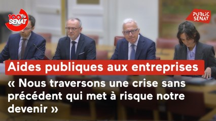 Aides publiques aux entreprises : audition d’ArcelorMittal