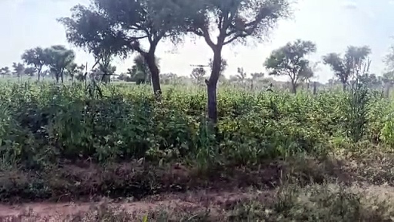 सोलर पम्प से बदल रही किसानों की तकदीर