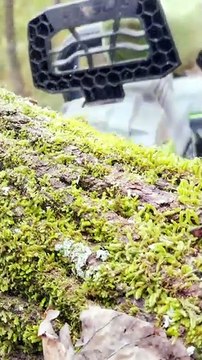 Deforestation ....Major Concern ..!!! Save Nature !!! Save Lives | Kelvin Water Technologies