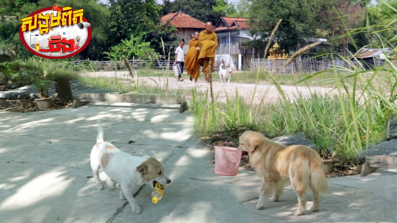 70សុនខ​ ចេះស្ដាប់និងប្រើបាននៅវត្ដដូនស្ដើង