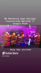 The Ninja Strikes back at the enemy with old allies and new powers.