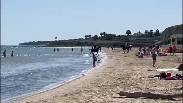Trani, inizio stagione balneare tra cavalli sulla sabbia e moto d'acqua tra i bagnanti