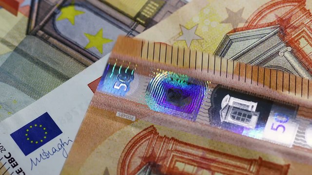 BONUS ANIMALI DOMESTICI: Ecco Come Funziona e Chi può Richiederlo