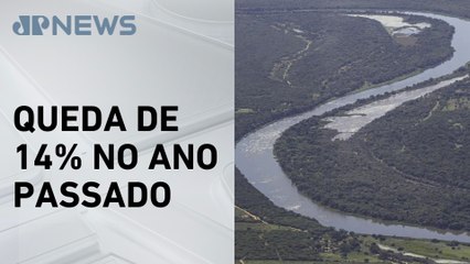 Mata Atlântica teve redução no desmatamento em 2024